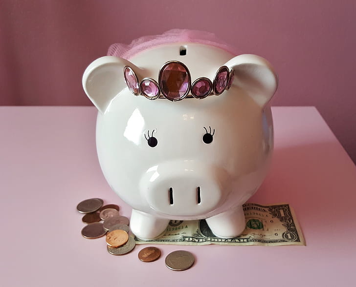 White Piggy Bank with A Crown and Tutu Placed on A Dollar Bill and Change